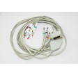 Schiller one-piece cable, 10 leads banana plug